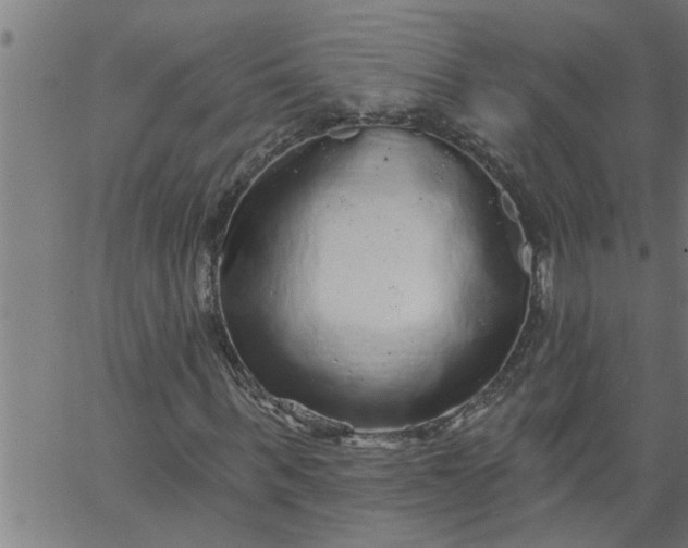 X0000066530963200603311816