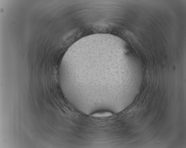 X0000066530964200603311816