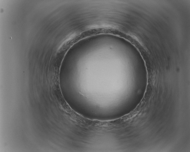 X0000066530967200603311816