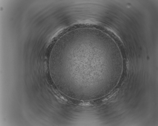 X0000066530968200603311816