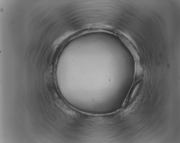 X0000066530971200603311816