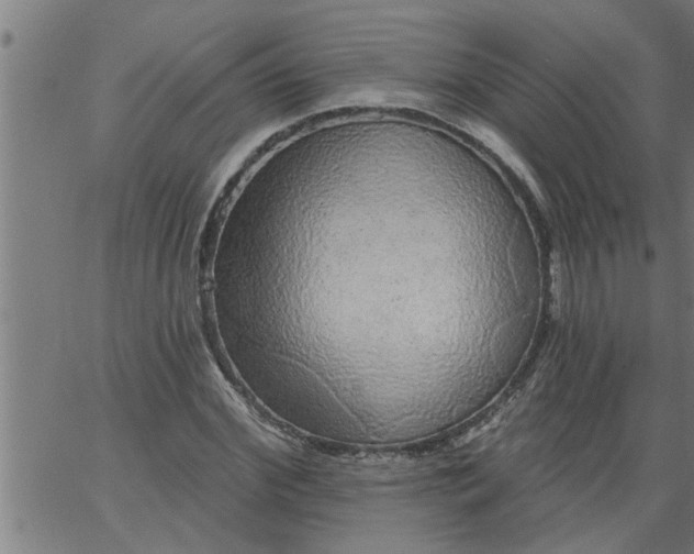 X0000066530972200603311816