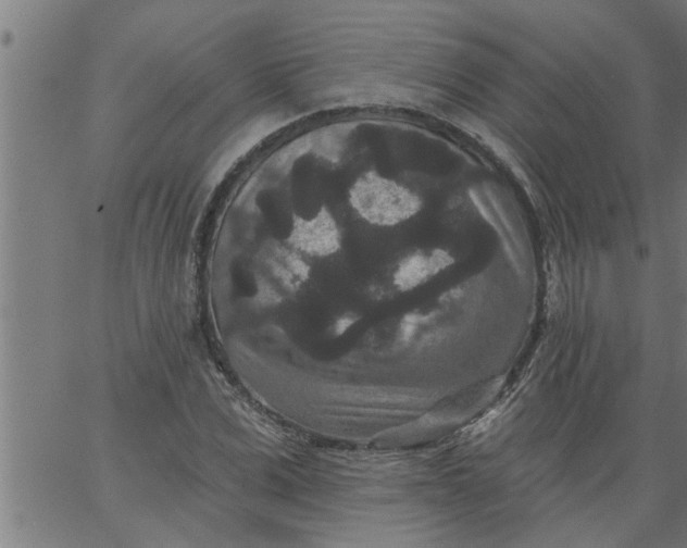 X0000066530975200603311816