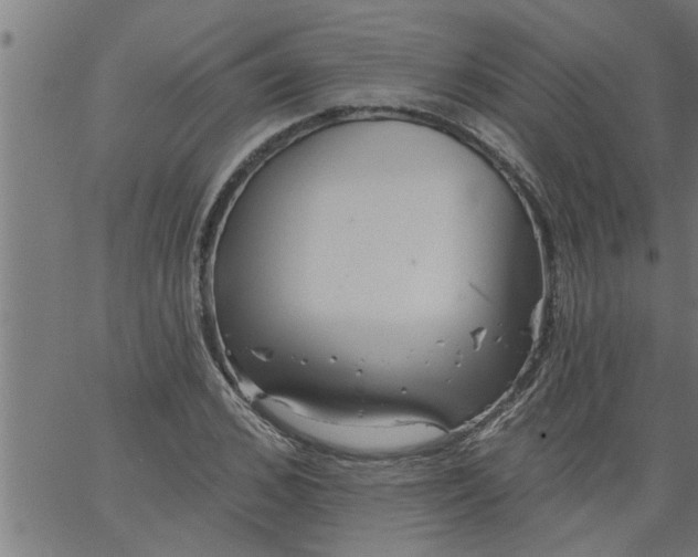 X0000066530976200603311816