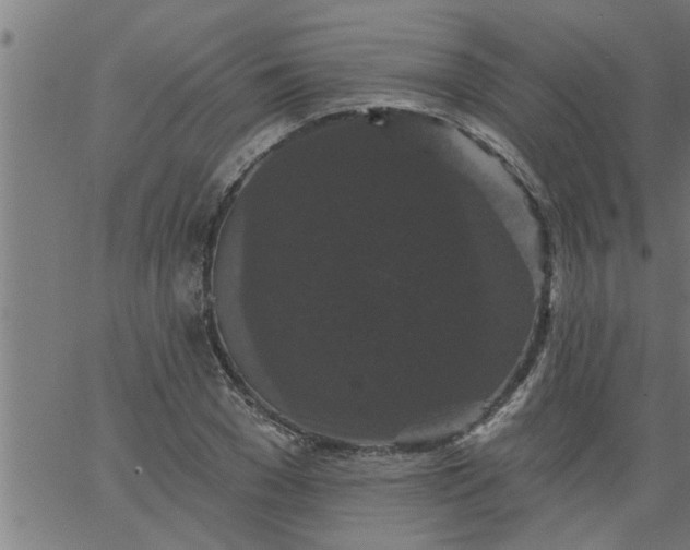 X0000066530977200603311815