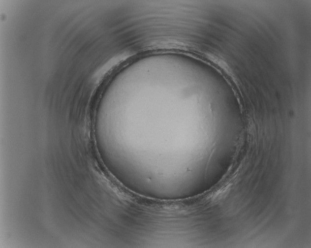 X0000066530979200603311815