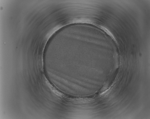 X0000066530980200603311815