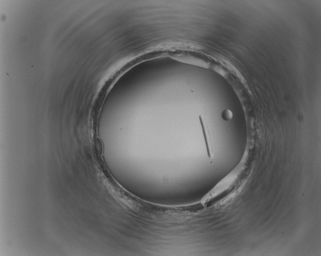 X0000066530981200603311815