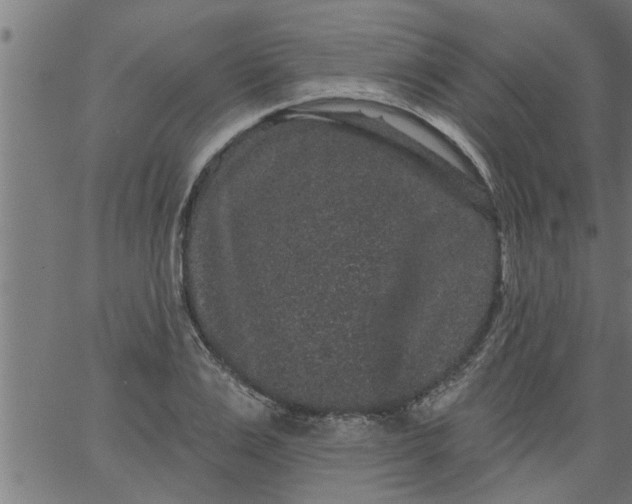 X0000066530983200603311815