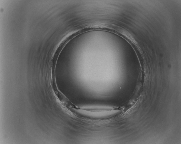 X0000066530984200603311815