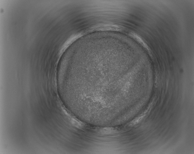 X0000066530986200603311815