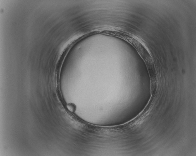 X0000066530987200603311815