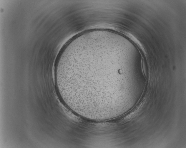 X0000066530988200603311815