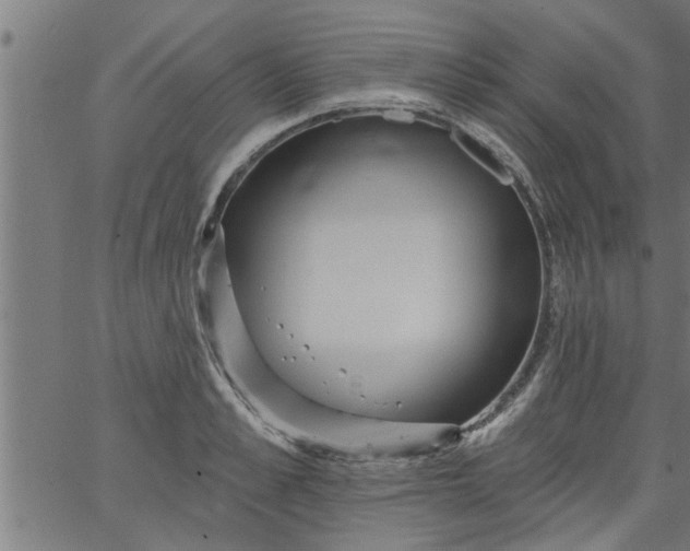 X0000066530989200603311815