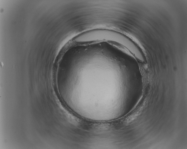 X0000066530991200603311815