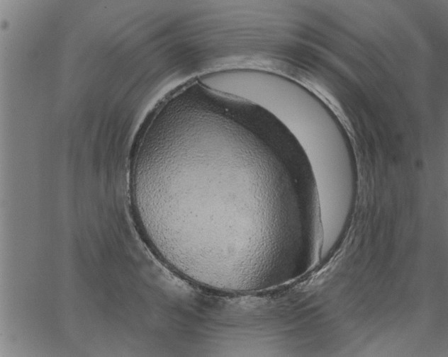 X0000066530992200603311815