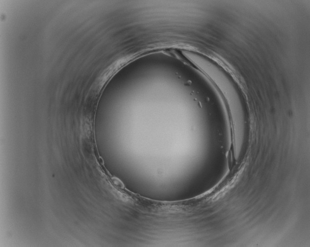 X0000066530993200603311815