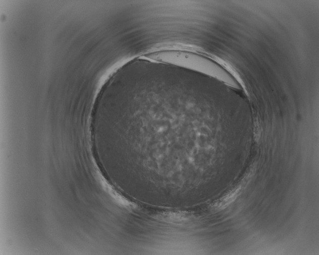 X0000066530995200603311815