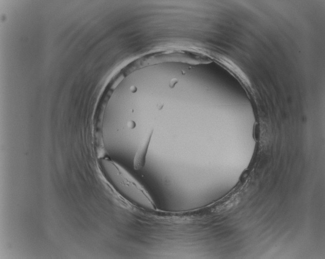 X0000066530996200603311815