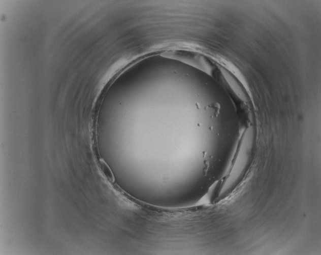 X0000066530997200603311815