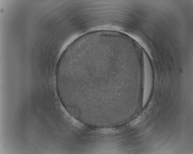 X0000066530998200603311815