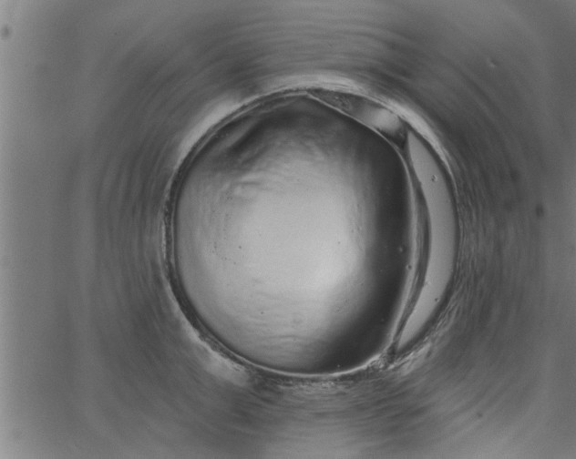 X0000066530999200603311815