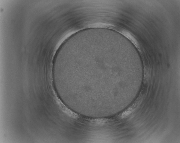 X0000066531000200603311815