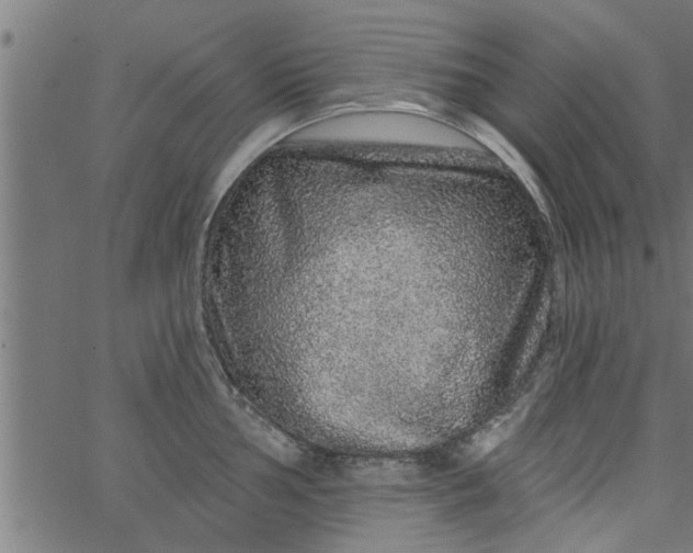 X0000066531002200603311815