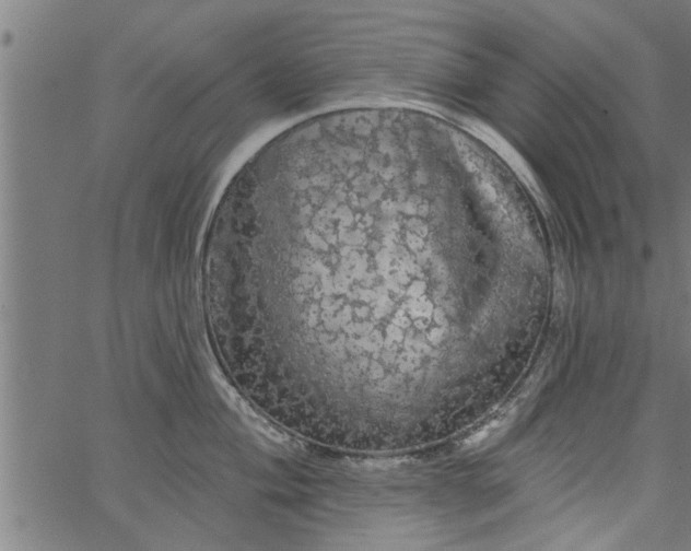 X0000066531004200603311815