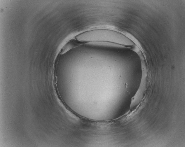 X0000066531005200603311815