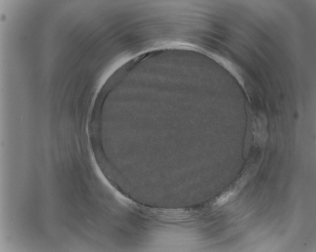 X0000066531007200603311815