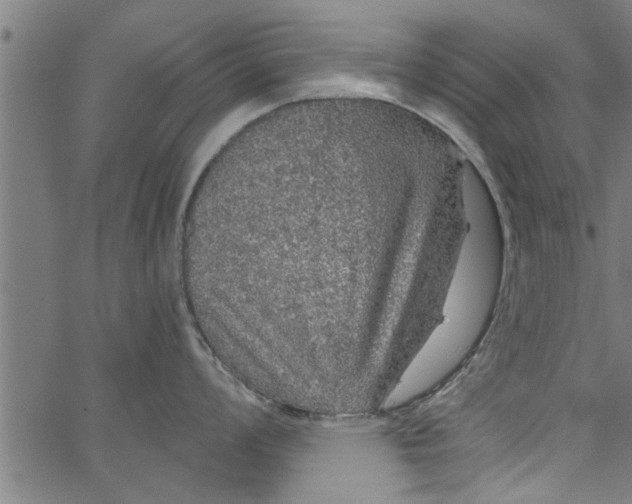 X0000066531008200603311815