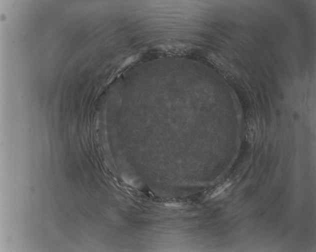 X0000066531010200603311814