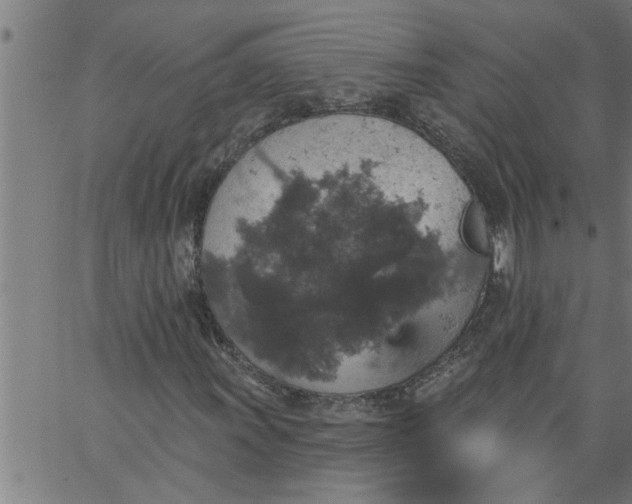 X0000066531011200603311814