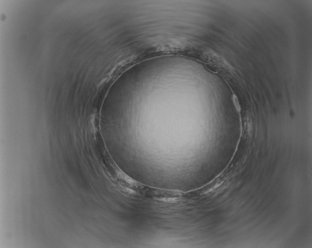 X0000066531012200603311814