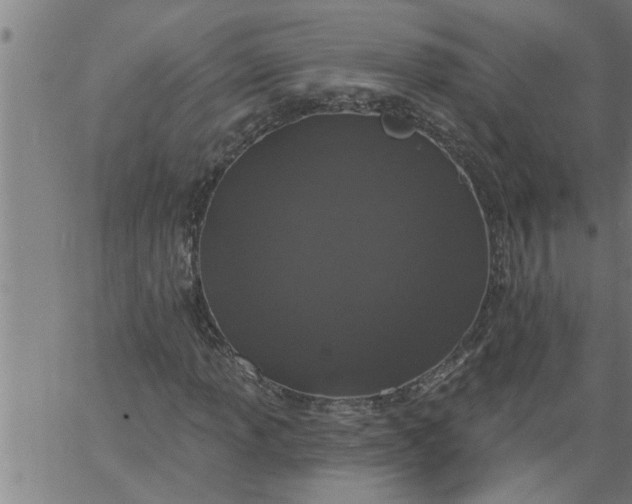 X0000066531013200603311814