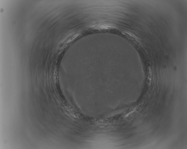 X0000066531014200603311814