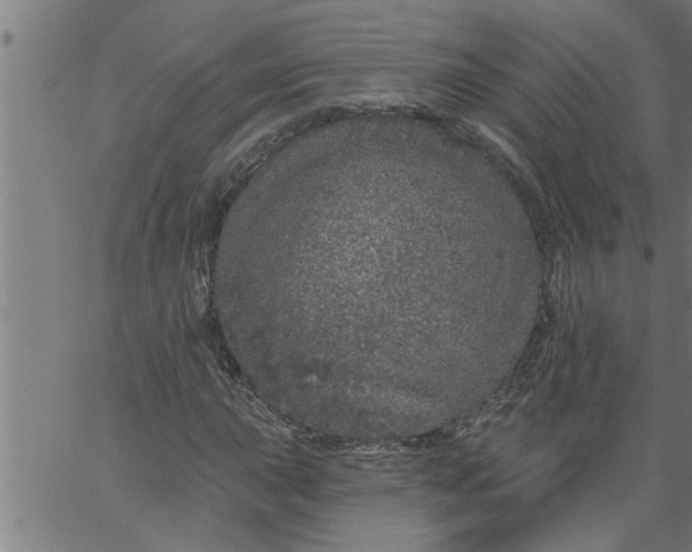 X0000066531015200603311814