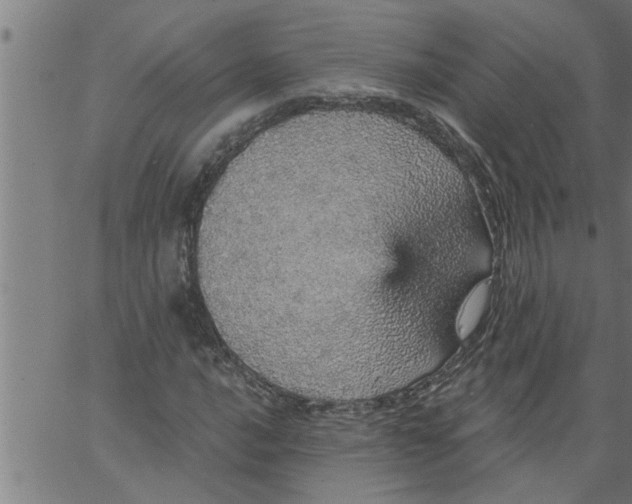 X0000066531016200603311814