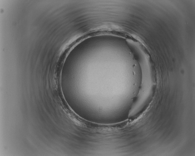 X0000066531018200603311814