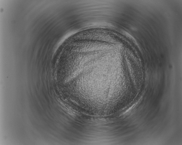 X0000066531019200603311814