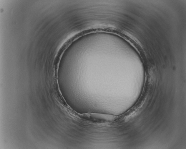 X0000066531021200603311814