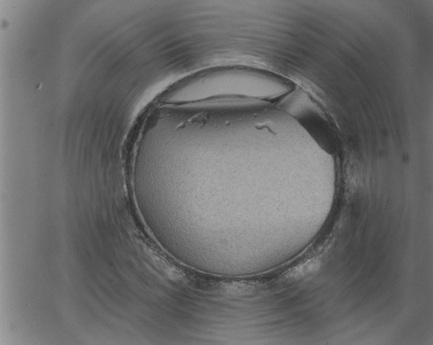 X0000066531022200603311814