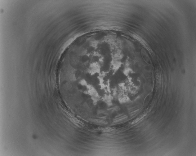 X0000066531023200603311814