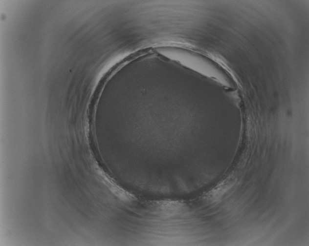 X0000066531024200603311814