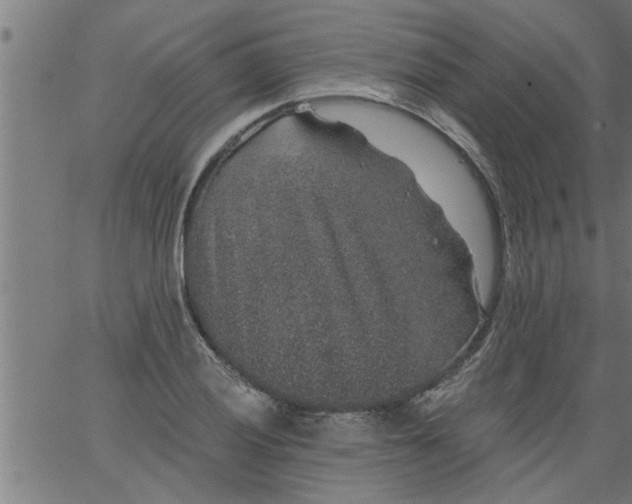 X0000066531028200603311815