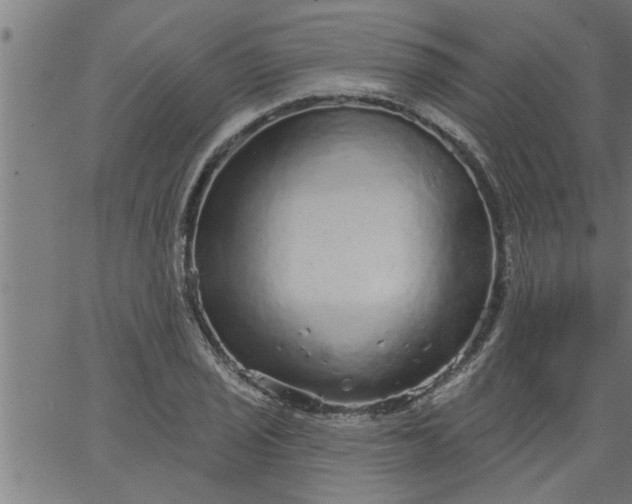 X0000066531029200603311815