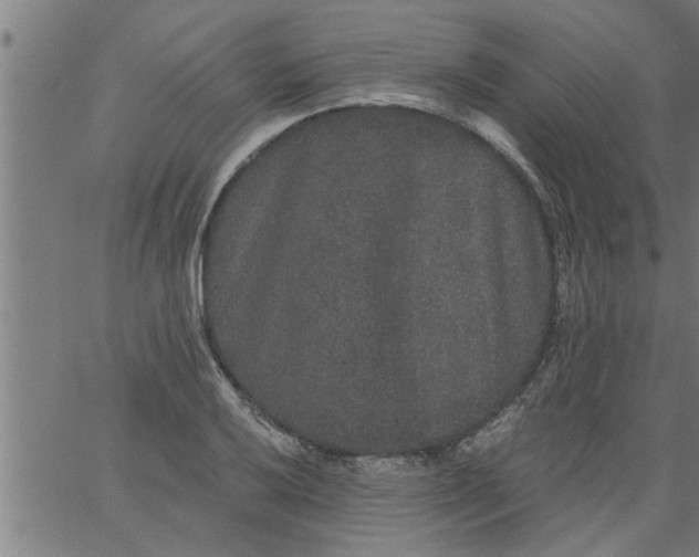 X0000066531032200603311815