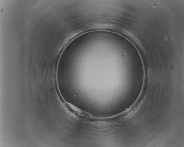 X0000066531033200603311815