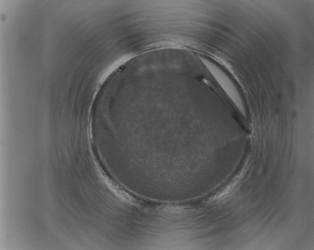 X0000066531034200603311815